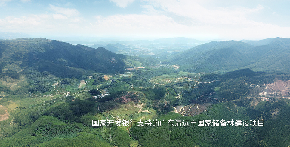 廣東清遠(yuǎn)市國家儲備林建設(shè)項目wap